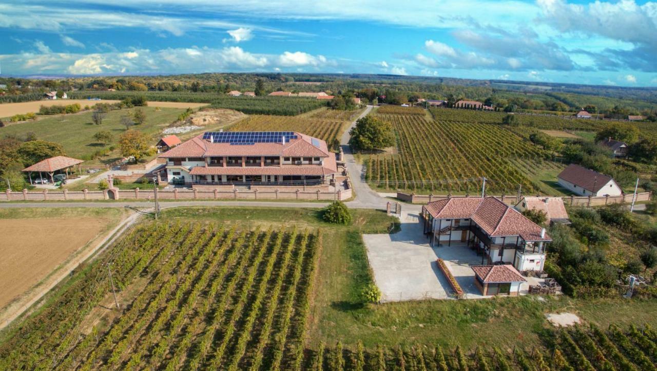 Ebner Pince - Panzio Bed and Breakfast Turbékpuszta Eksteriør billede